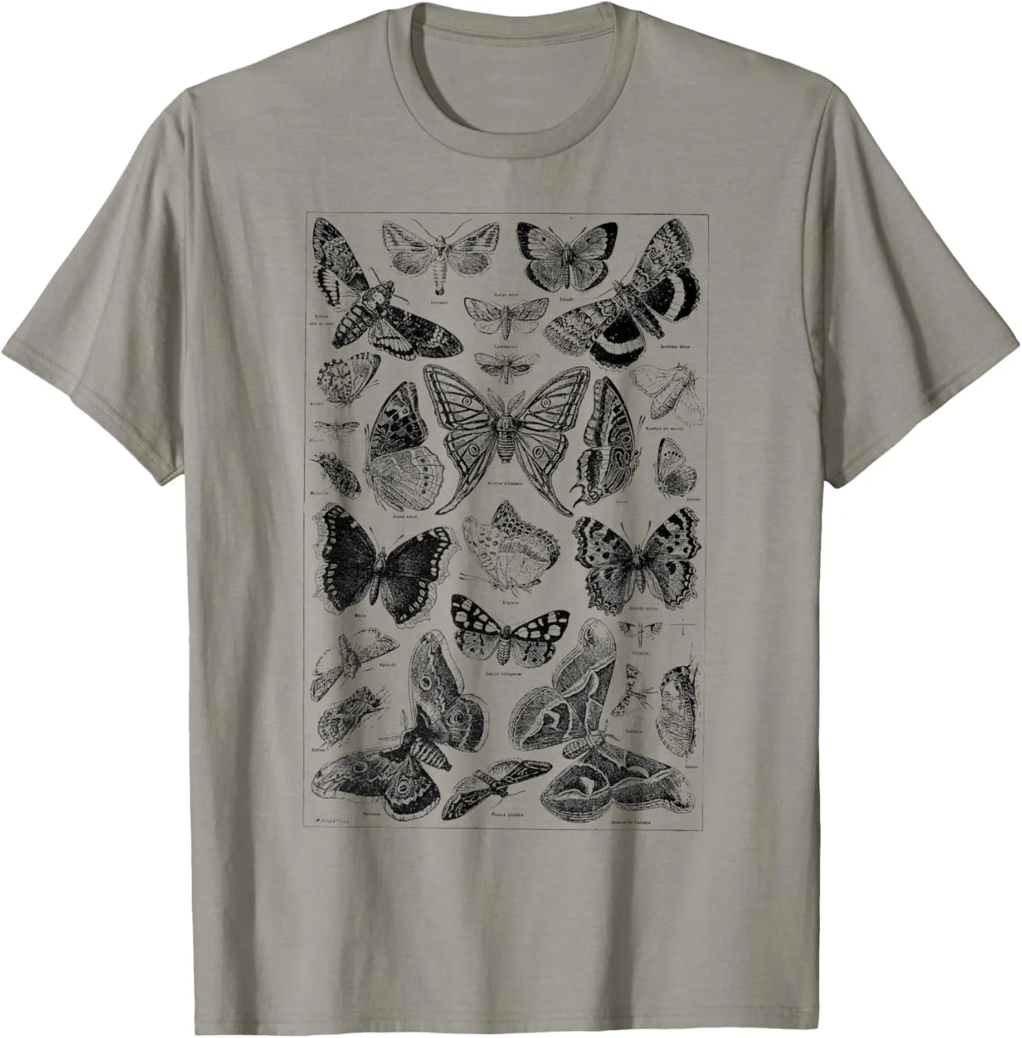 Vintage butterfly Illustration Butterflies Botanical Species T-Shirt